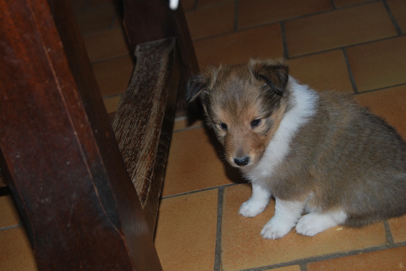 portee 2010